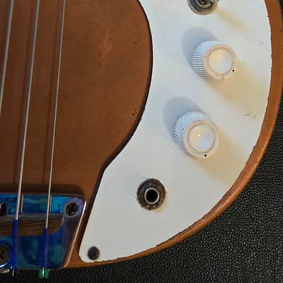 Naturally Relic'd 1959 Danelectro 3412 Short-horn Bass and Hardcase image 7
