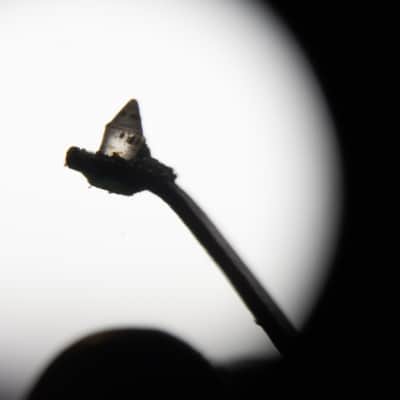 Astatic ACD A-3/A-1 Flipover Cartridge & Stylus 78/33rpm image 2
