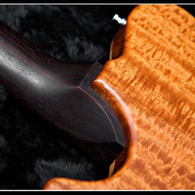 Nik Huber Dolphin 2010 - Tobacco Sunburst image 9