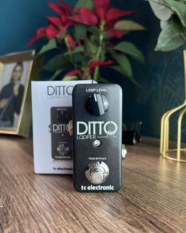 TC Electronic Ditto Looper image 1