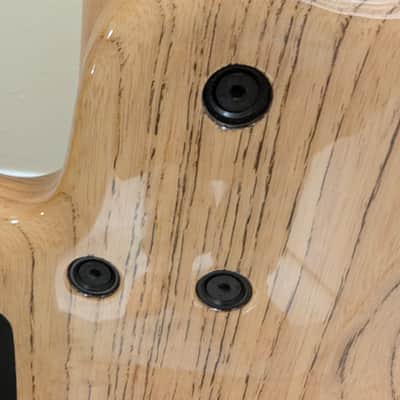 Roscoe LG3000 - Swamp Ash image 6