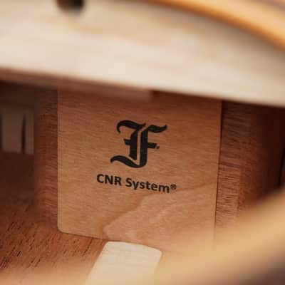 Furch Pure OM-SM image 15