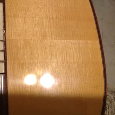 Kenny Hill 2011 performance model Spruce/Indian Rosewood image 6