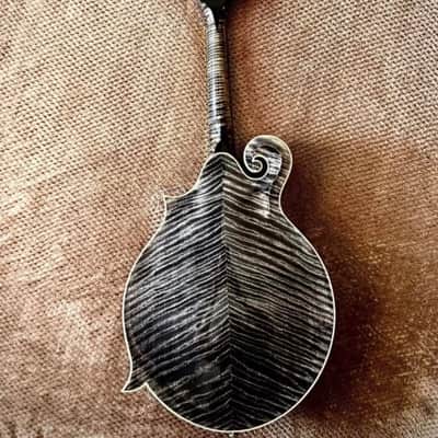 Weber Black Ice Mandolin 2011 - Black Ice image 8