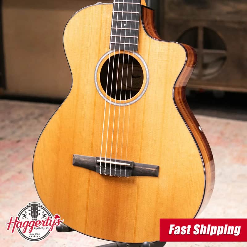 Taylor 212ce-N Plus Nylon Grand Concert Acoustic/Electric Guitar with Aerocase image 1