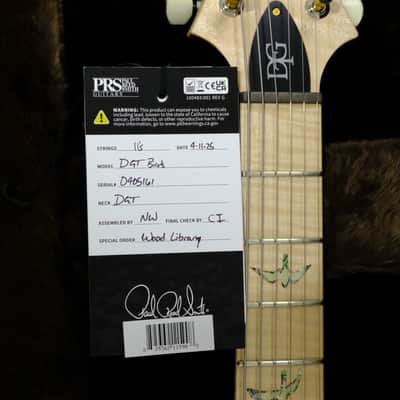 PRS Wood Library DGT Electric Guitar with Bird Inlays - Jade image 18