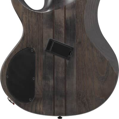 Ibanez BTB806MS-TGF Bass Workshop BTB Electric Bass 6-String Multi Scale - Transparent Gray Flat + Case image 12