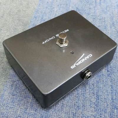 USED by Don Wilson himself on Japan tour. Signature amp with case for sub. image 5