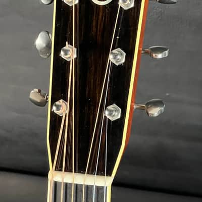 Santa Cruz Dreadnought - Gloss image 7