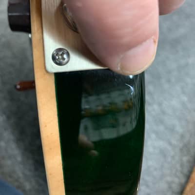 PRS Brushstroke 24 2014 - Green image 9