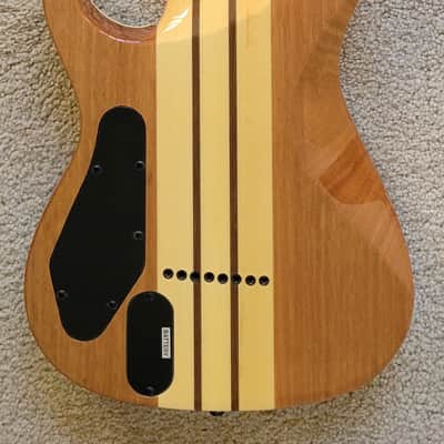 B.C. Rich Shredzilla Extreme 8 String Exotic Electric Guitar, Spalted Maple, New Hard Shell Case image 5