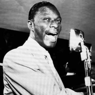 Beautiful Vintage 1960’s Art Deco Shure 51 “Sonodyne” Microphone w/ Stand & Cable-Nat King Cole Mic image 12