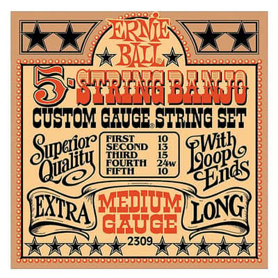 Ernie Ball 2309 5-string Banjo Medium Stainless Steel Strings w/ Loop End (10-24w)