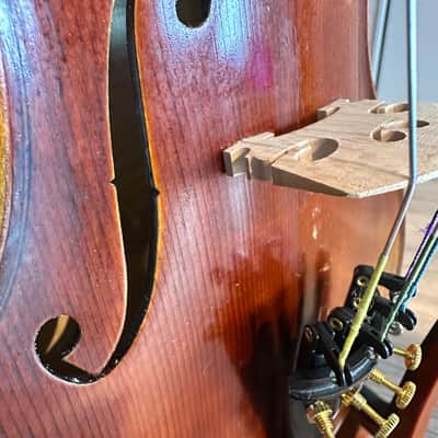 Intermediate 4/4 Violin: Strumenti a Corde 6400 Style B 2019 - Oil varnish image 11
