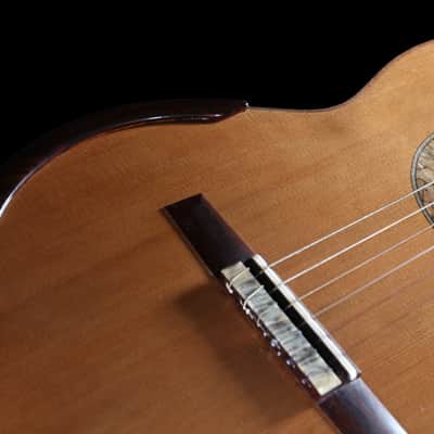 Classical Guitar by Tim Harris Double-top Concert Classical April 2019 - French Polish image 5