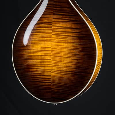 Collings MT2 Mandola Sunburst Adirondack Spruce and Flamed Maple NEW image 19