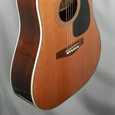 A LoPrinzi LR-20 Dreadnought Acoustic Guitar with case used image 9