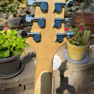 DMG Warlock style guitar image 8