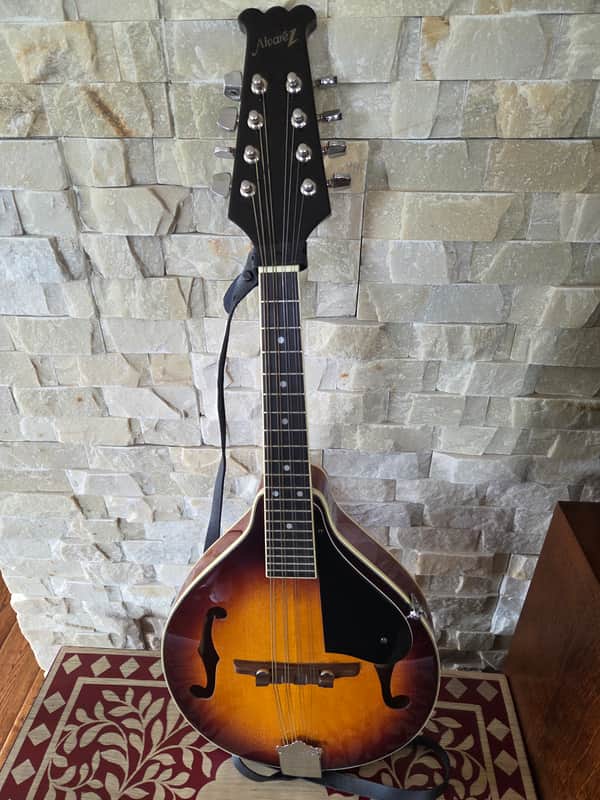 Alvarez mandolin A100 with hard case image 1