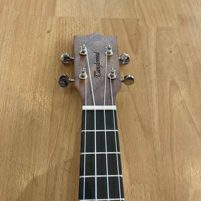 UKULELE TIARE CONCERT BLACK WALNUT image 5