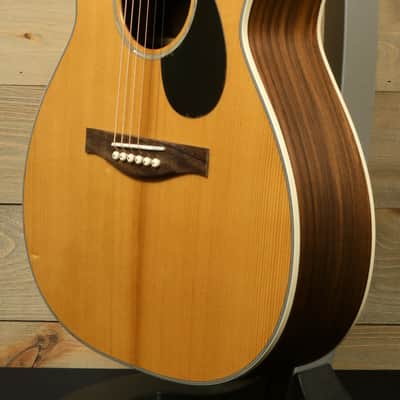 Eastman PCH2-OM image 6