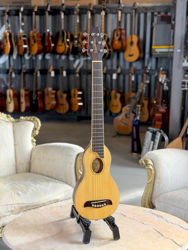 WASHBURN Rover RO10N Travel Guitar image 1