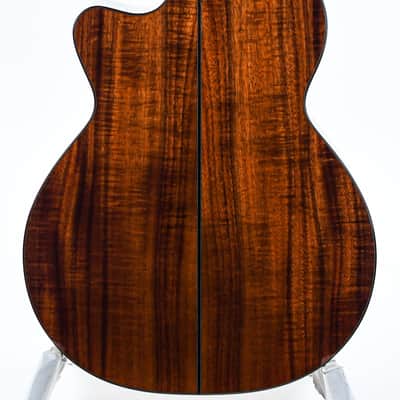 BSG GA45CF Fan Fret Recent image 4