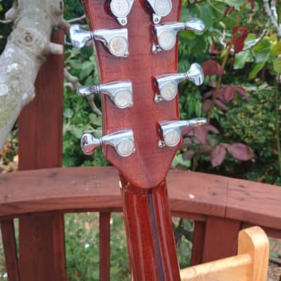 Octave mandolin/8-string tenor/baritone uke converted solid top guitar image 5