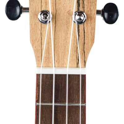 Cordoba 24TCE Tenor Spalted Maple Spruce Ukulele image 2