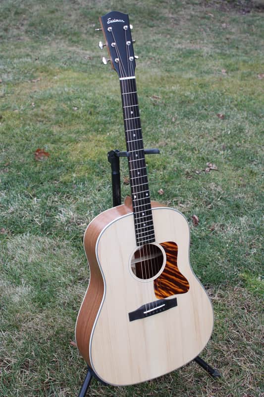 Eastman E1SS Ltd Edition image 1