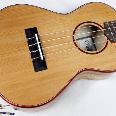 Cordoba 24T-CE Tenor Single Cutaway Acoustic-Electric Ukulele Cedar/Maple #32759 image 1