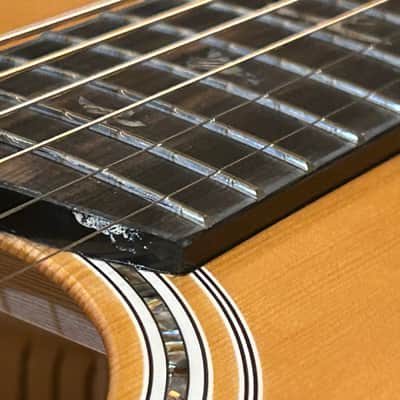 PRS PPE50 - Parlor Size Acoustic Guitar with Built-In Fishman Pickup and Padded Bag image 14