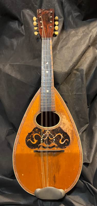 American conservatory Lyon & Healy Bowl Back mandolin - Early 1900s  - Brazilian Rosewood - All Org. - Great Player - Ships FREE!!! image 1