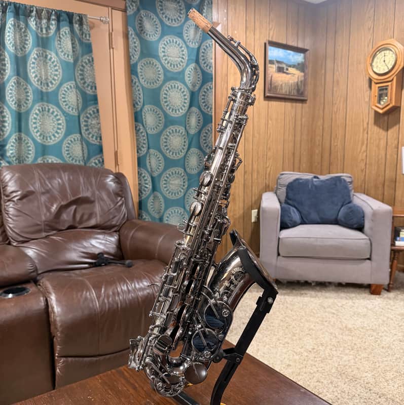 Cannonball Big-Bell Stone Series Alto Saxophone with Protec XL case image 1