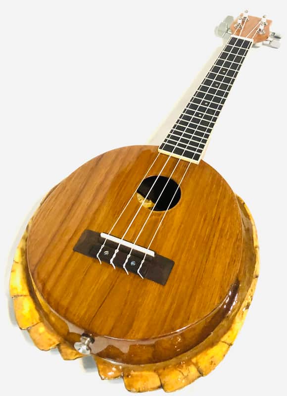 Turtle Shell Concert Ukulele image 1