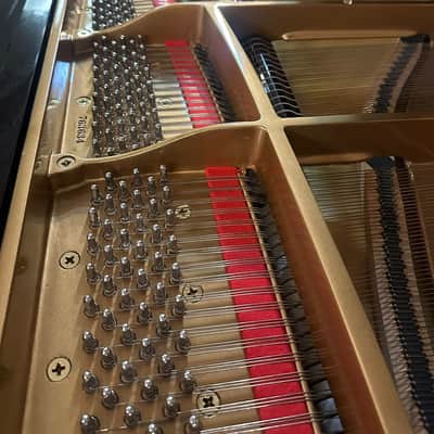 Sherwood G185 Grand Piano – 6', High-Quality New Instrument image 9