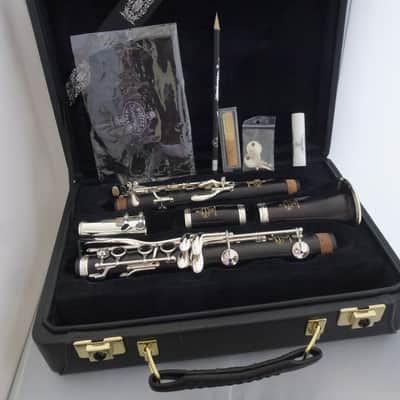 Buffet Crampon R-13 Professional Bb Clarinet Never Played Sealed in Mfg Box image 1