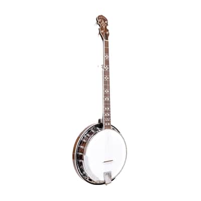 Gold Tone BG-150F: Bluegrass Banjo with Flange and Bag (Vintage Brown) image 2