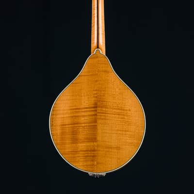 Bourgeois M5A Mandolin Full Aged Tone Adirondack Spruce and European Flamed Maple NEW image 3