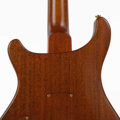 PRS Birds Of A Feather Private Stock Guitar Of The Month Owned by David Grissom image 14