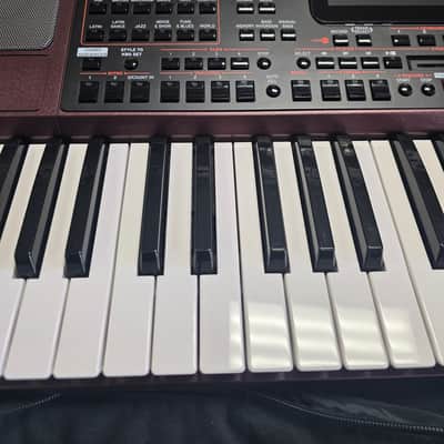 Korg PA1000 61-Key Professional Arranger 2017 - Present - Red image 3