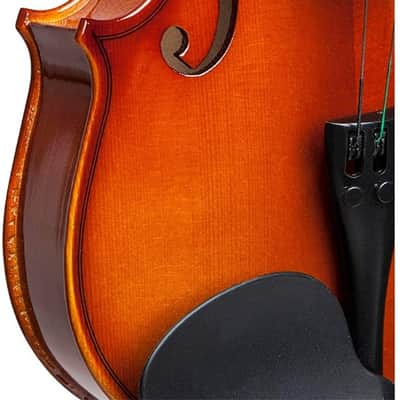 Stagg Model VN-1/8 - 1/8 Size Solid Maple Violin with case, bow and accessories image 11