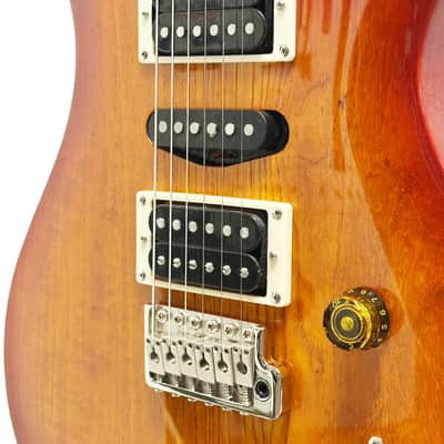 PRS SE SE Swamp Ash Special 22 Electric Guitar in Vintage Sunburst image 5