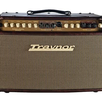 Traynor AM STANDARD 150W Acoustic Combo. New with Full Warranty! image 2