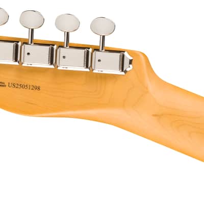 Fender American Professional Classic Hotshot Telecaster Rosewood FB Butterscotch Blonde with Bag image 6
