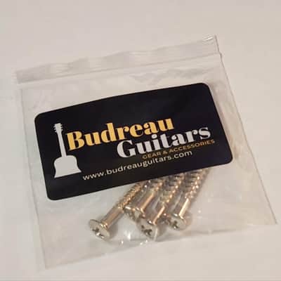 Neck Screws set of 4 Chrome by Budreau Guitars image 2