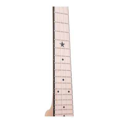 Gold Tone Little Gem: See-Through Banjo-Ukuleles with Gig Bag (Ruby) image 5