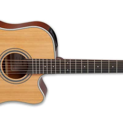 Takamine GD20CE - Natural Satin (TAKGD20CENS) image 2