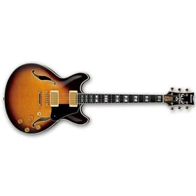 Ibanez John Scofield Signature JSM100 Hollow-Body Electric Guitar, Bound Ebony Fretboard, Vintage Sunburst image 14