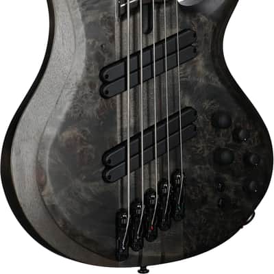 Ibanez BTB805MS Multi Scale Bass Guitar (with Case), Transparent Gray image 4